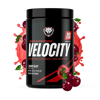 VELOCITY - 6AM RUN