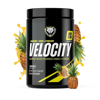 VELOCITY - 6AM RUN