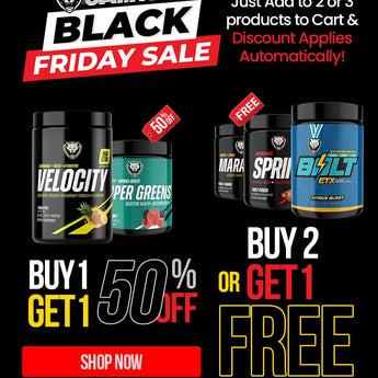 Black Friday Sale