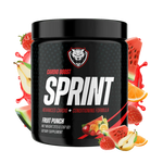 SPRINT (Pre Running Energy)